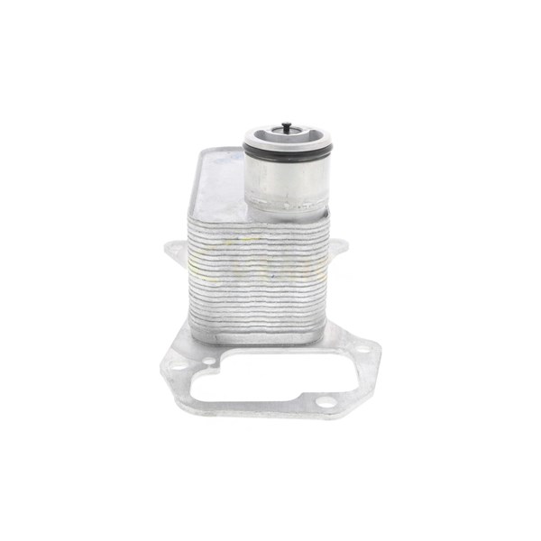 Oljekylare, motor