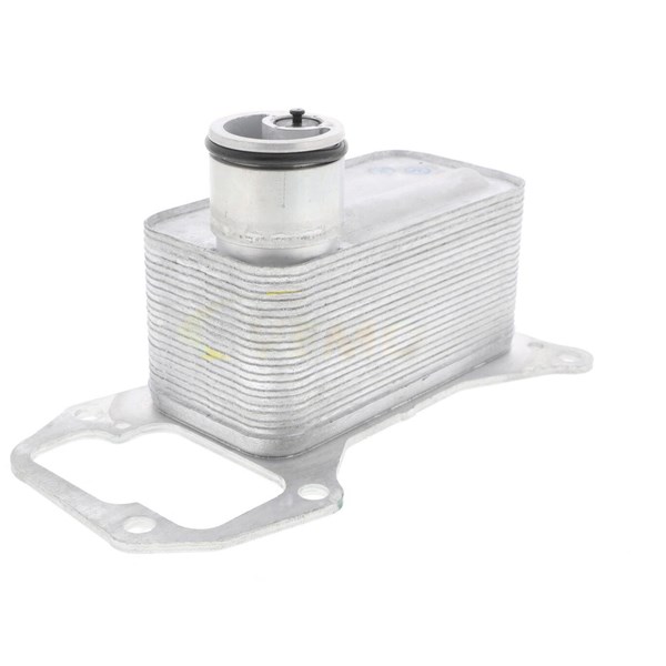 Oljekylare, motor
