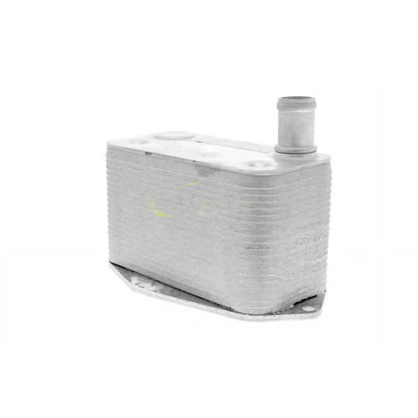 Oljekylare, motor