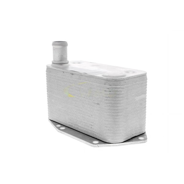 Oljekylare, motor