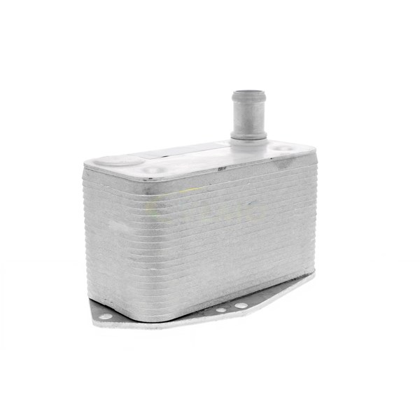 Oljekylare, motor