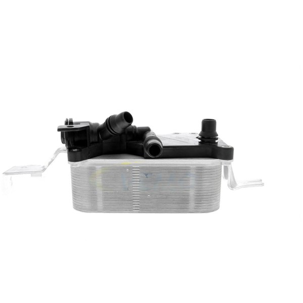 Oljekylare, motor