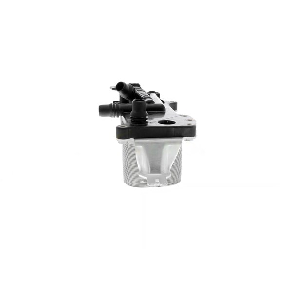 Oljekylare, motor