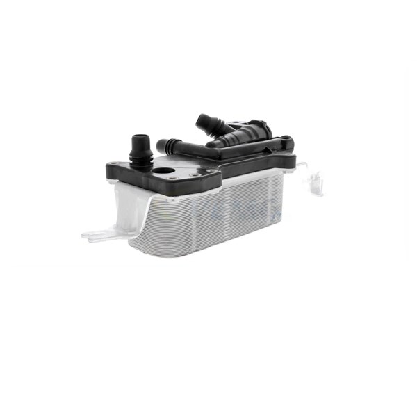 Oljekylare, motor