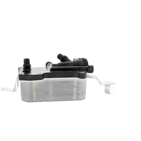 Oljekylare, motor