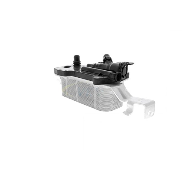 Oljekylare, motor