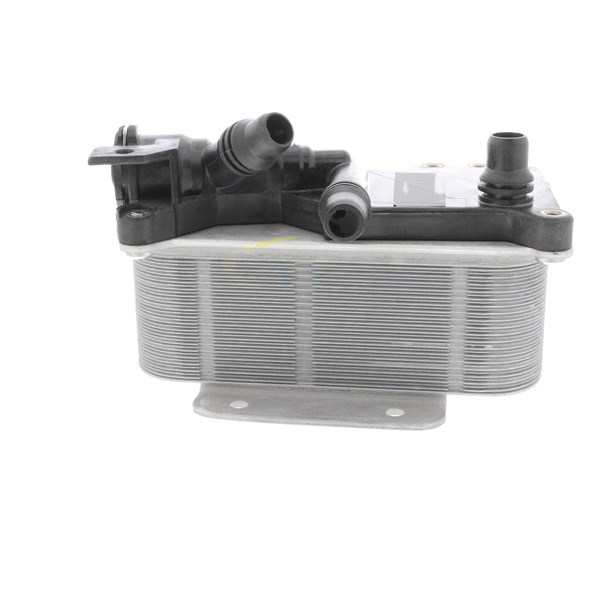 Oljekylare, motor Oljekylare, motor