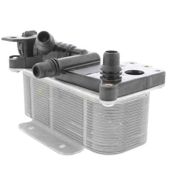 Oljekylare, motor Oljekylare, motor
