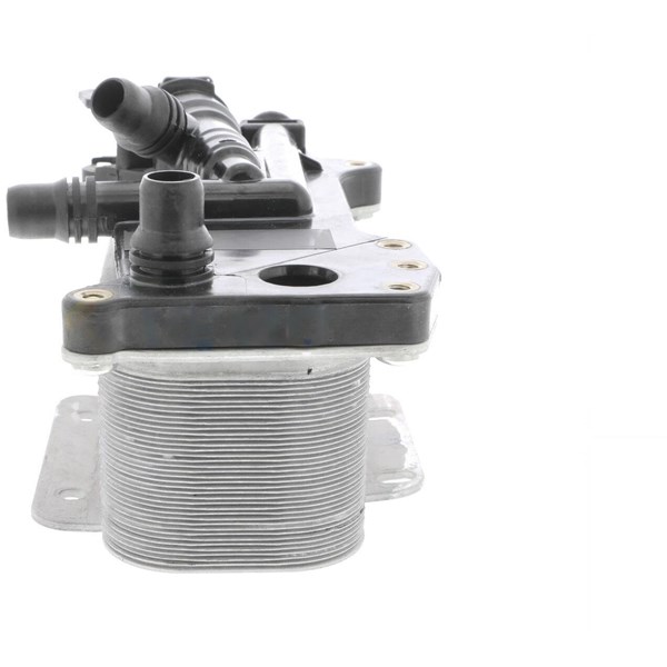 Oljekylare, motor