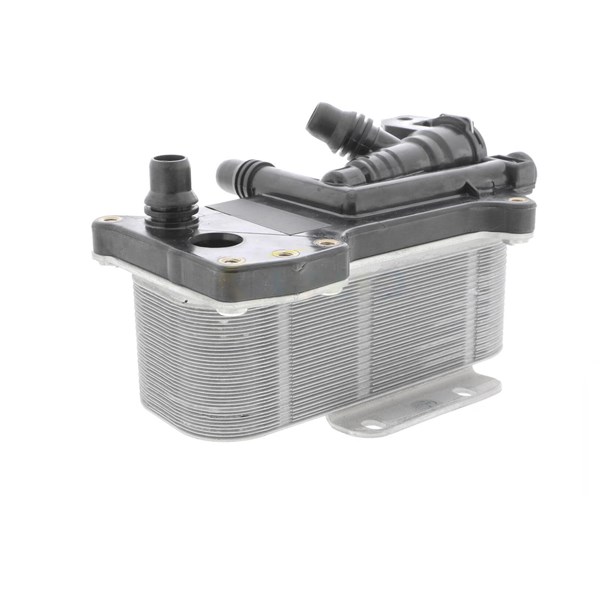 Oljekylare, motor Oljekylare, motor
