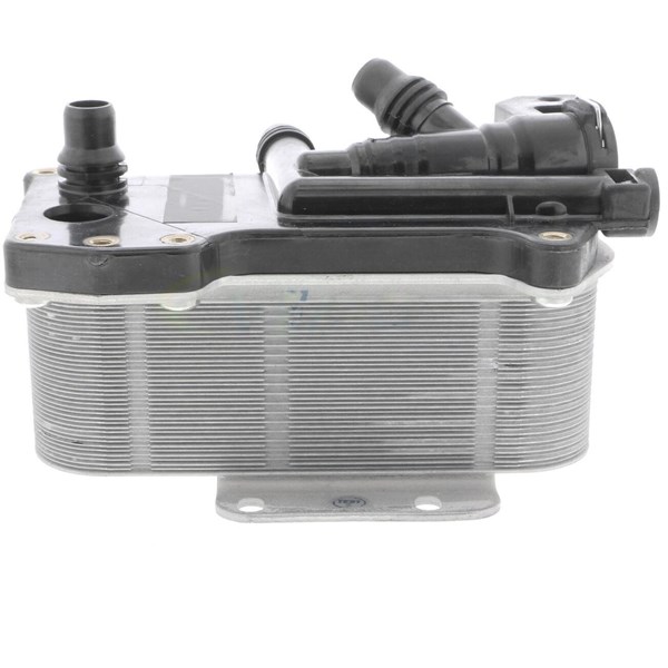 Oljekylare, motor Oljekylare, motor