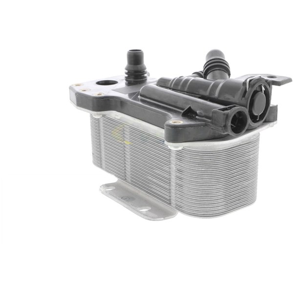 Oljekylare, motor Oljekylare, motor