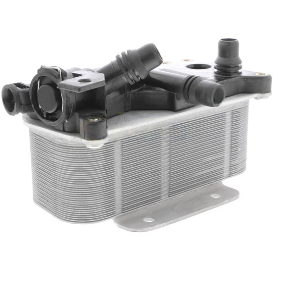 Oljekylare, motor Oljekylare, motor