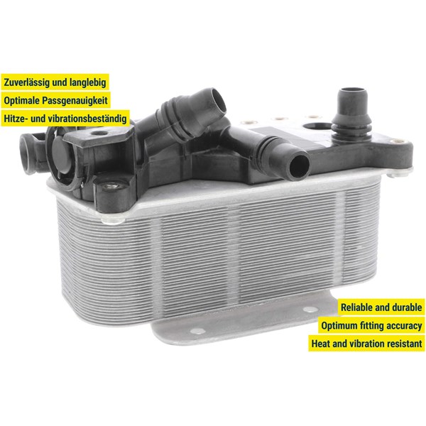 Oljekylare, motor Oljekylare, motor