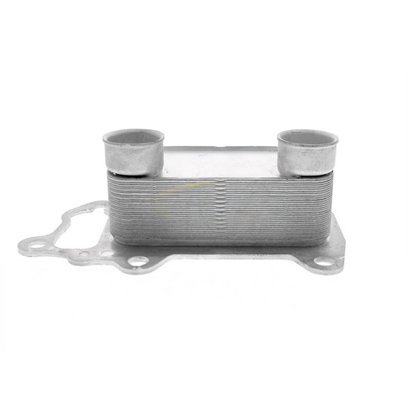 Oljekylare, motor
