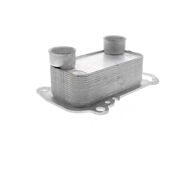 Oljekylare, motor