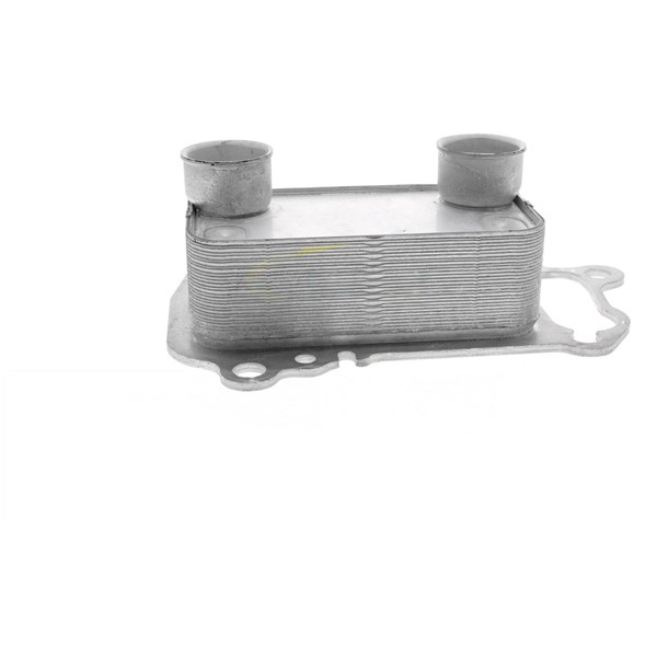Oljekylare, motor