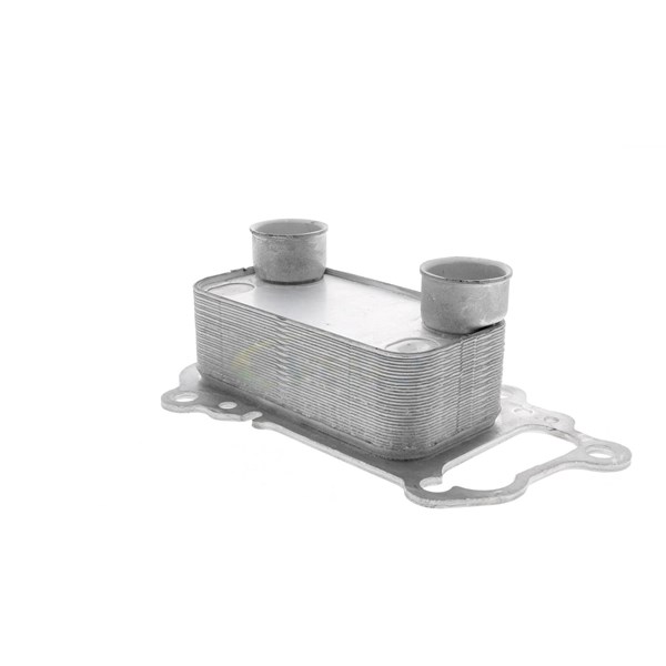 Oljekylare, motor