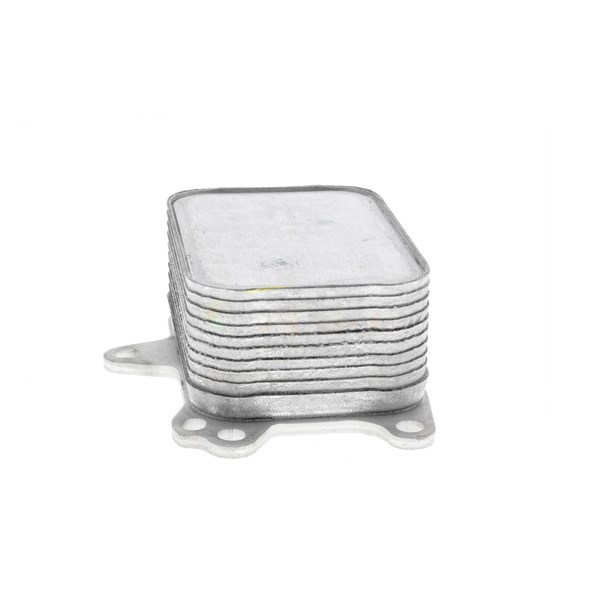 Oljekylare, motor