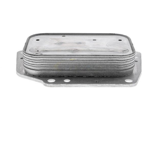 Oljekylare, motor