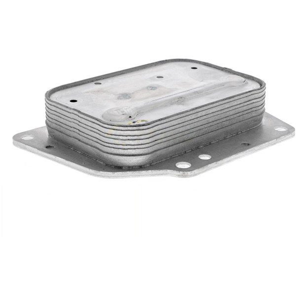 Oljekylare, motor