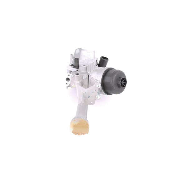 Oljekylare, motor