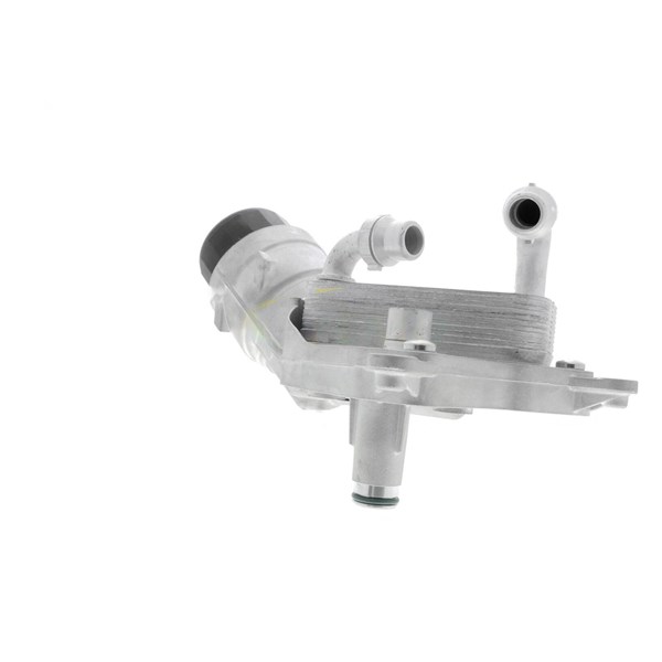 Oljekylare, motor