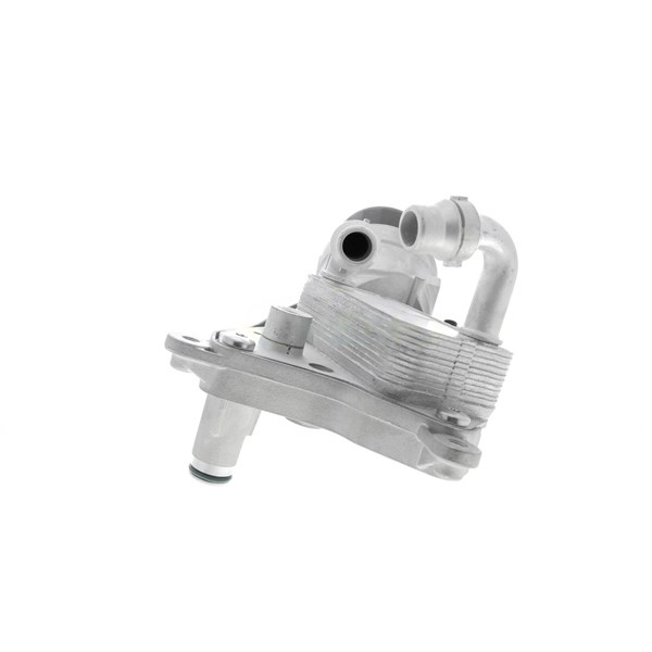 Oljekylare, motor