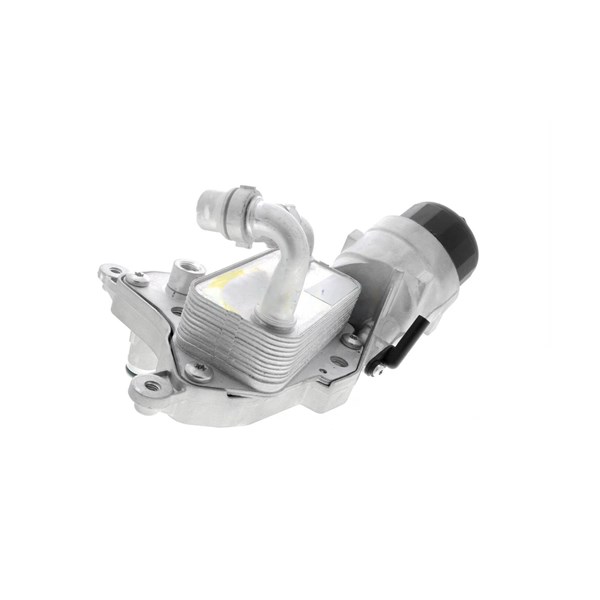 Oljekylare, motor