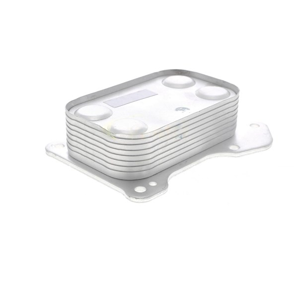 Oljekylare, motor