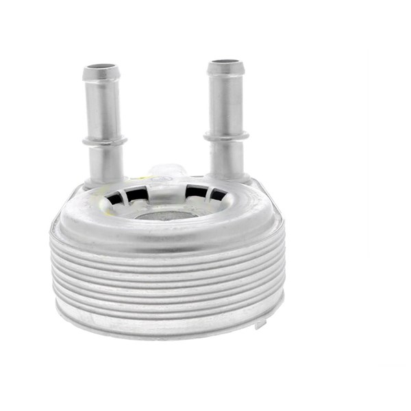 Oljekylare, motor