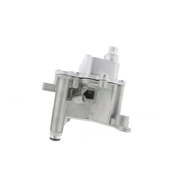 Oljekylare, motor