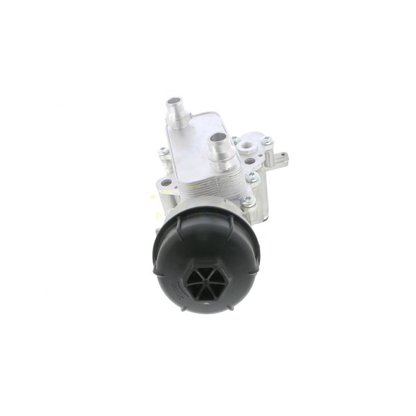 Oljekylare, motor