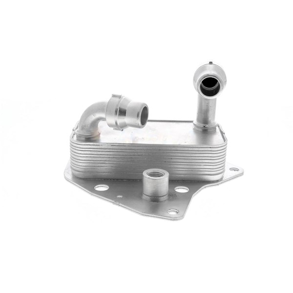 Oljekylare, motor
