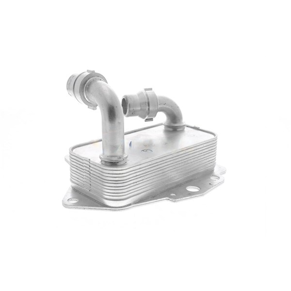Oljekylare, motor