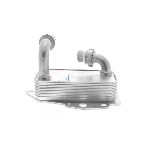 Oljekylare, motor