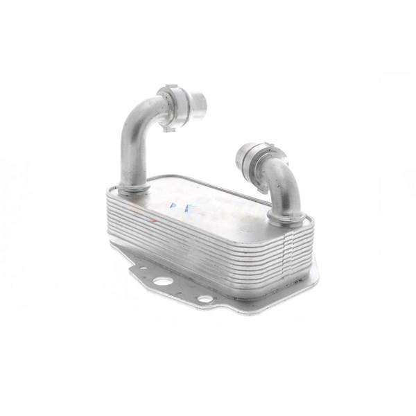 Oljekylare, motor