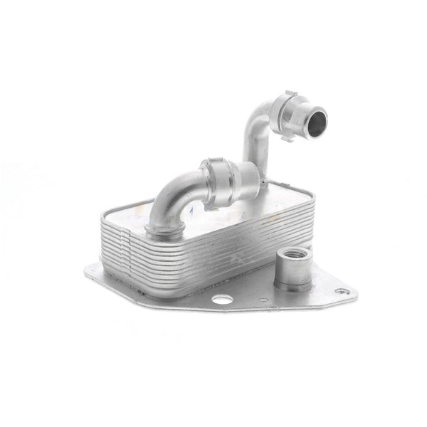 Oljekylare, motor