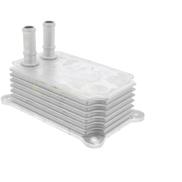 Oljekylare, motor