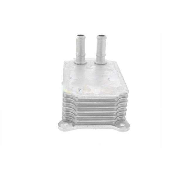 Oljekylare, motor