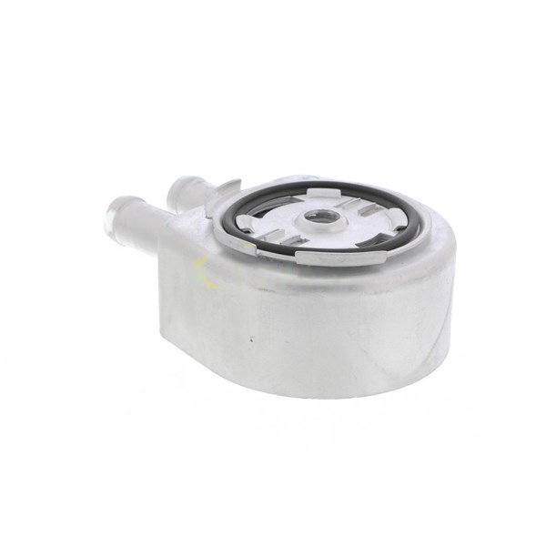 Oljekylare, motor