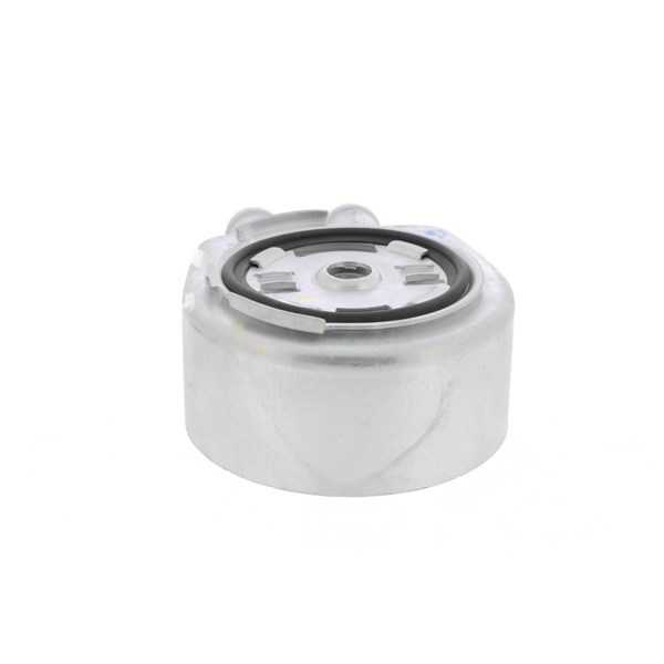 Oljekylare, motor