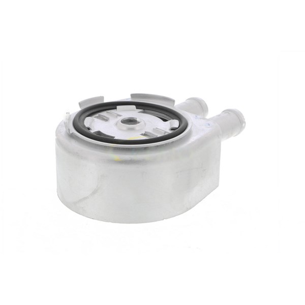 Oljekylare, motor