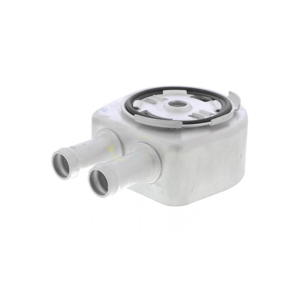 Oljekylare, motor
