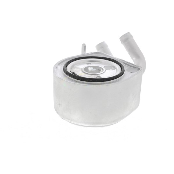 Oljekylare, motor