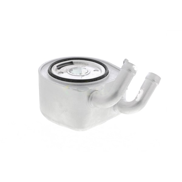 Oljekylare, motor