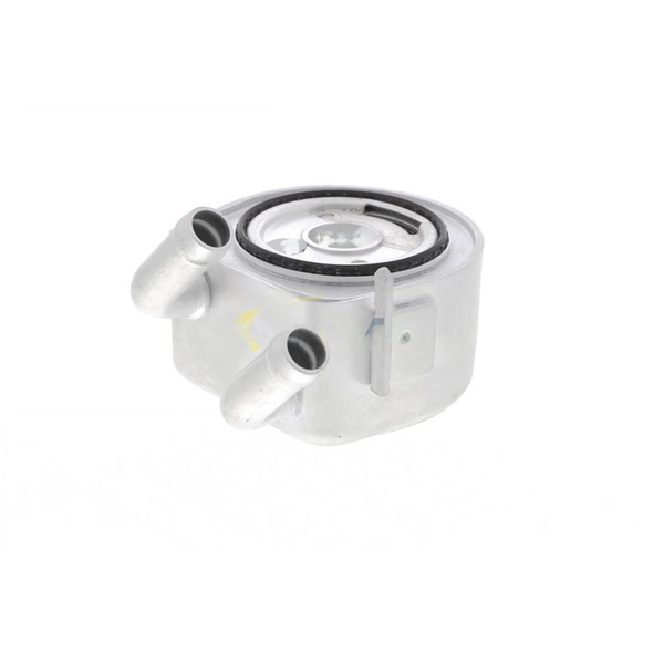 Oljekylare, motor