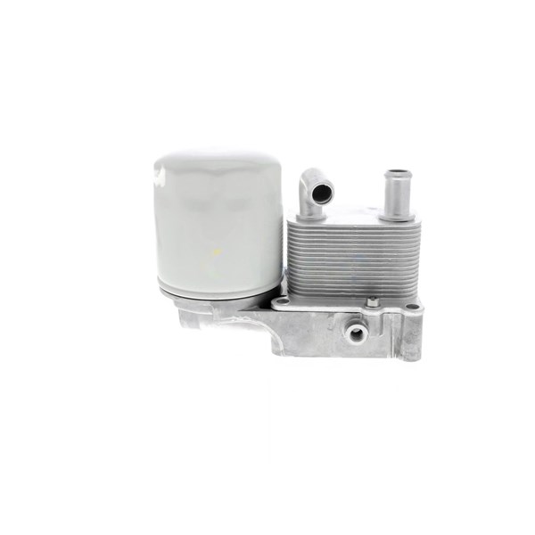 Oljekylare, motor