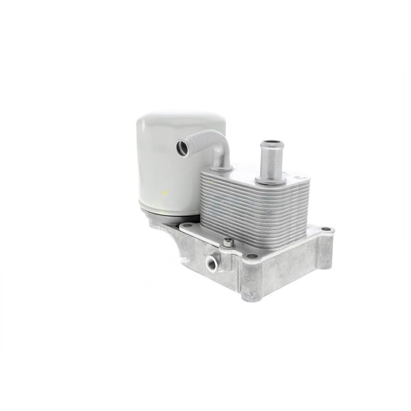 Oljekylare, motor