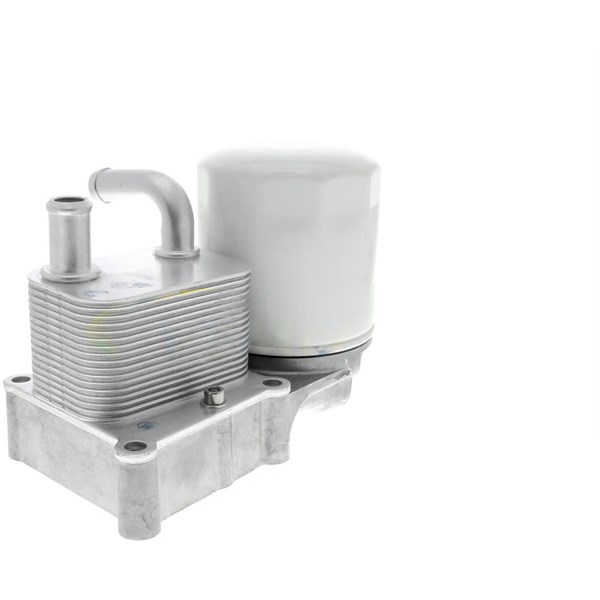 Oljekylare, motor